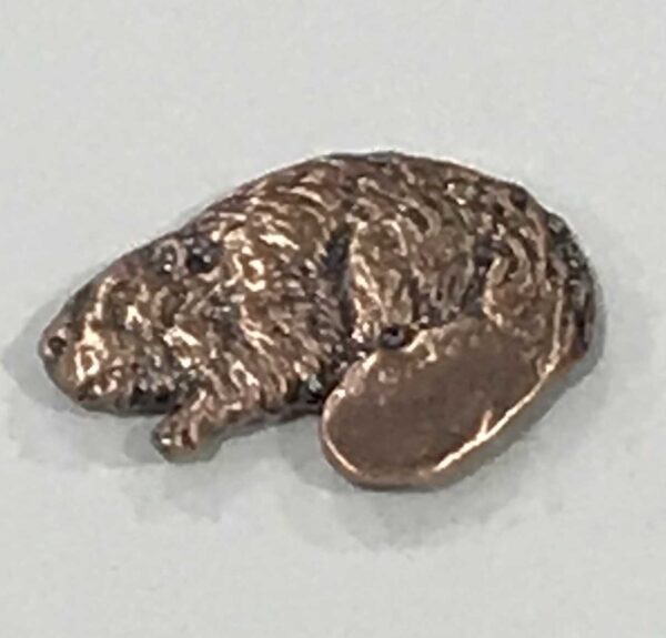 BIG TAIL BEAVER PIN - COPPER