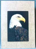 EAGLE ART CARD - OUR NATIONAL BIRD