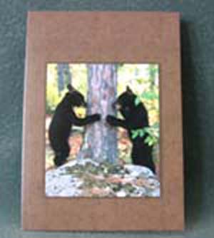 Art Card Bear Cub Peek-A-Boo
