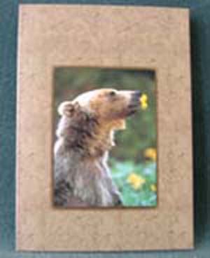 Art Card Bear Tasting Flower