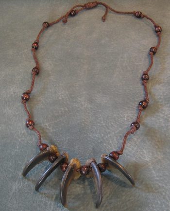 Bear Claw Necklace Brown