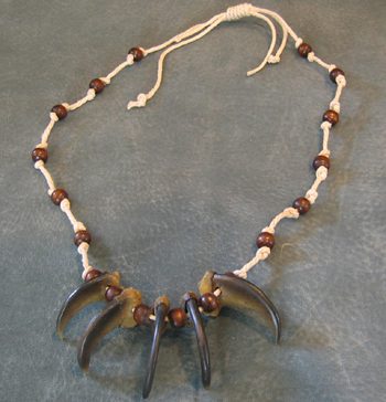 Bear Claw Necklace Natural