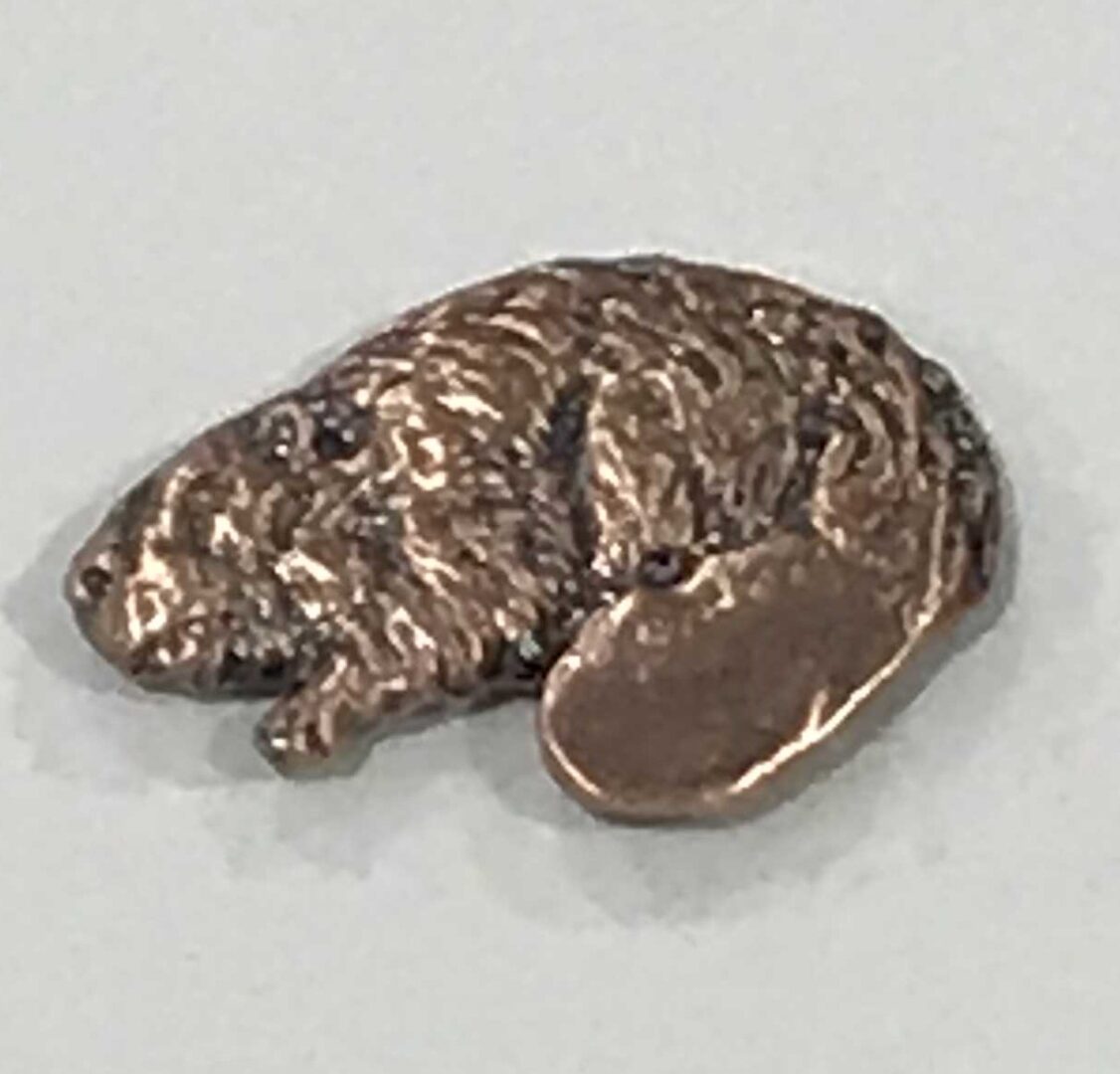 Big Tail Beaver Pin - Copper