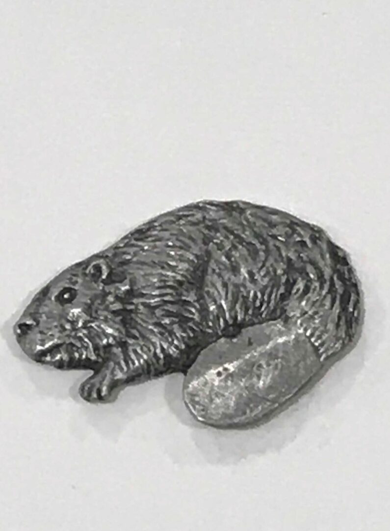 Big Tail Beaver Pin