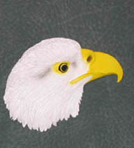 Eagle Magnet - Eagle Head