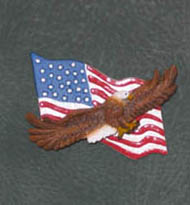 Eagle Magnet eagle flag