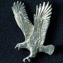 Pewter flying eagle pin