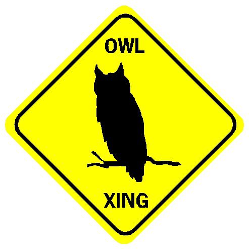 owl wood badge store