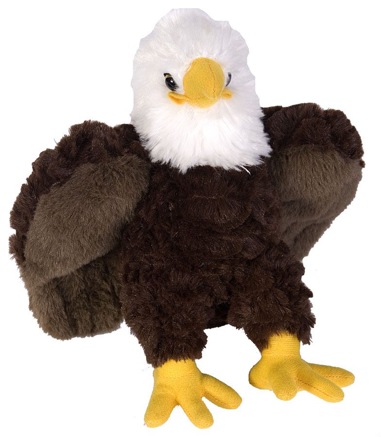 EA30 CK Mini Bald Eagle
