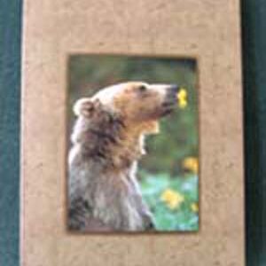 Art Card Bear Tasting Flower