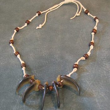 Bear Claw Necklace Natural Placed On Srface