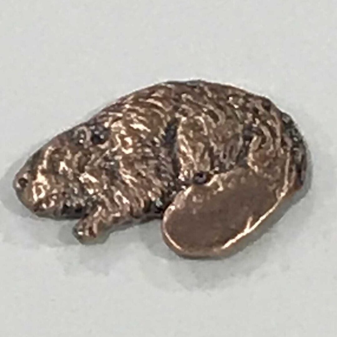 Big Tail Beaver Pin - Copper