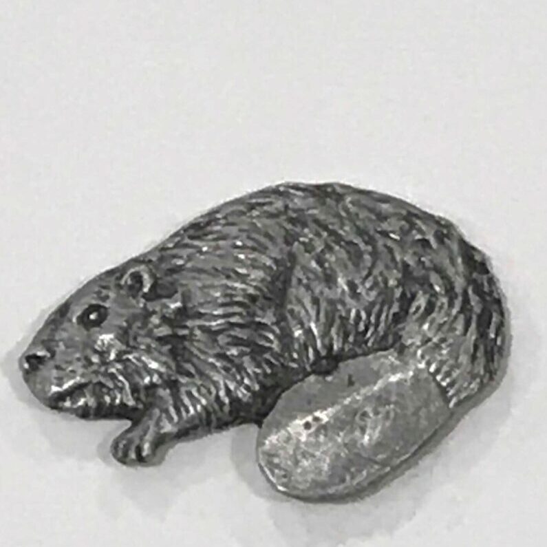 Big Tail Beaver Pin