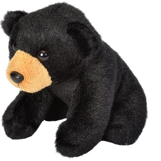 CK Lil's Black Bear 18114