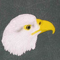 Eagle Magnet - Eagle Head