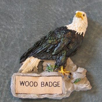 Eagle Wood Badge Magnet