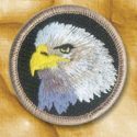 Eagle_t