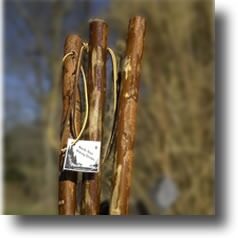 1. SUGAR FOOT HIKING STICK