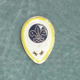 FL1 - WORLD BROTHERHOOD OVAL PIN