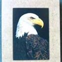 EAGLE ART CARD - OUR NATIONAL BIRD