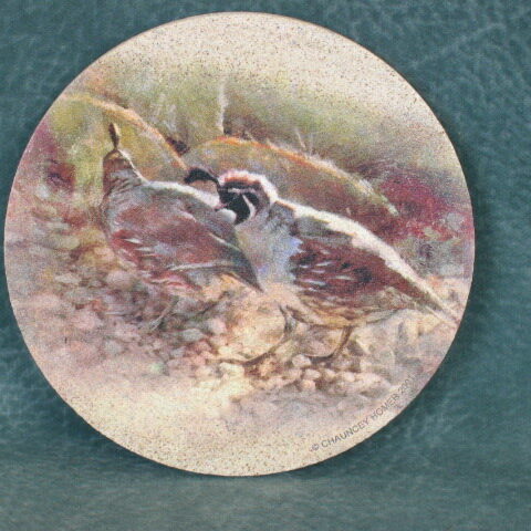 BOBWHITE COASTERS