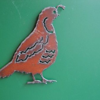 Iron Bobwhite Magnet