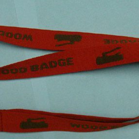 Lanyard