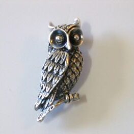 OWL 3D PIN