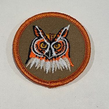 Orange Boarder Owl Patch