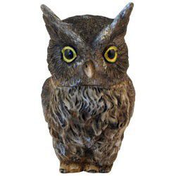 Screech Owl