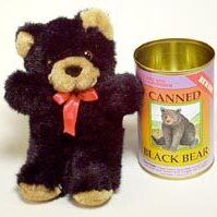 black-bear_bg