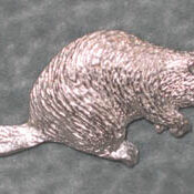 pewter beaver pin